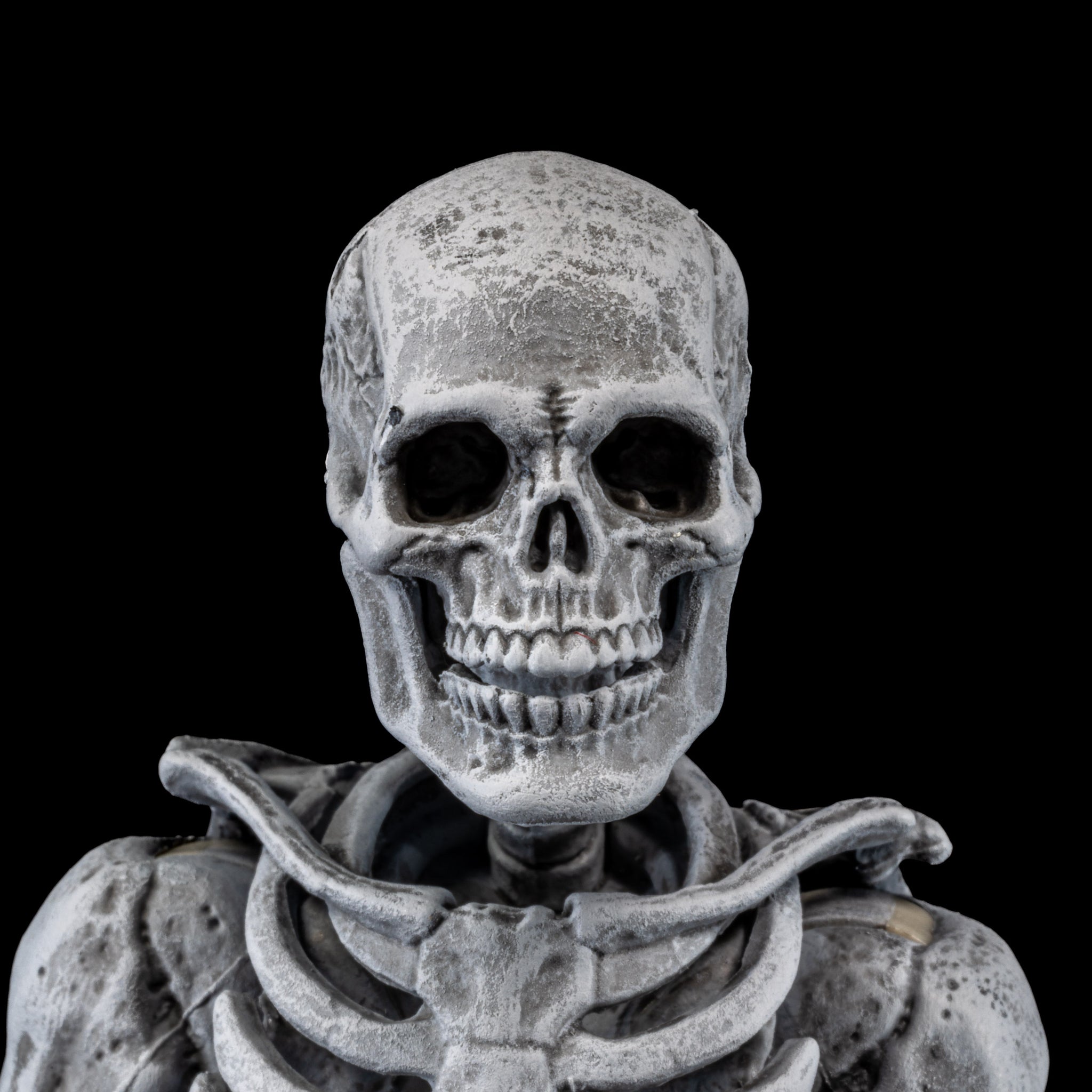Graveyard Skeletons Four Pack – The 1 Stop Toy Shop